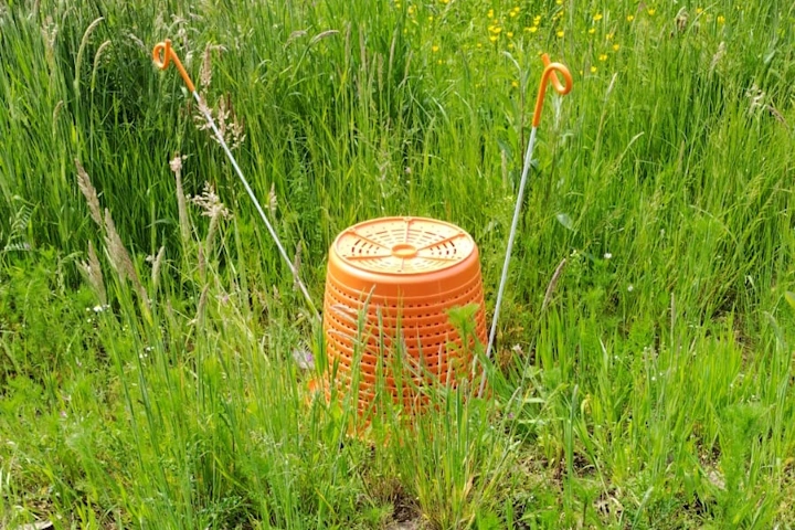 Mand met pinnen om reekalf vast te zetten