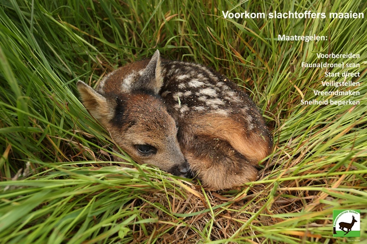 Missie: Voorkom maaislachtoffers!