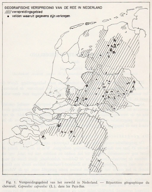 Afbeelding: Geografische verspreiding van het ree 1960